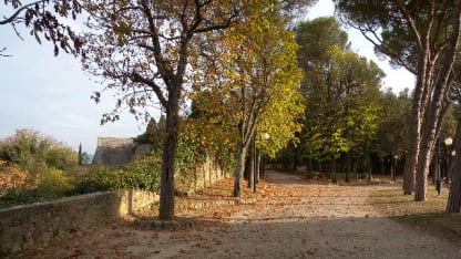 DSCN0012