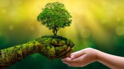 environment-earth-day-hands-trees-growing-seedlings-bokeh-green-background-female-hand-holding-tree-nature-field-gra-130247647
