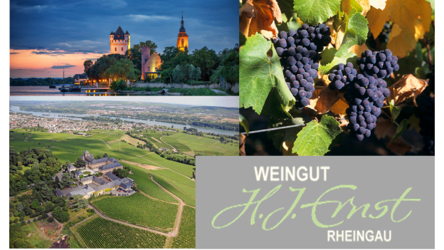 Pinot-Nero-Rheingau-1