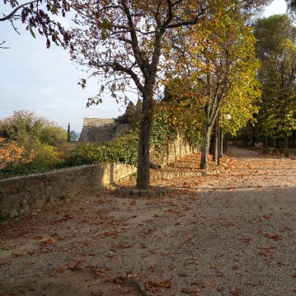 DSCN0012
