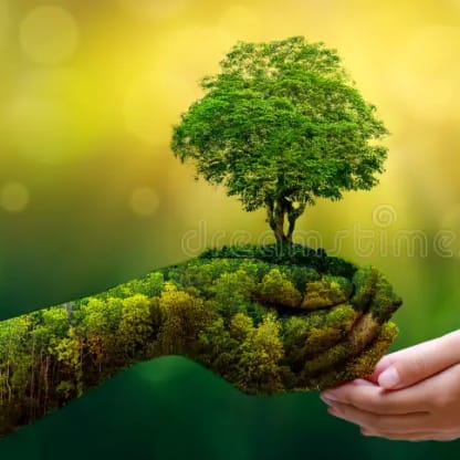 environment-earth-day-hands-trees-growing-seedlings-bokeh-green-background-female-hand-holding-tree-nature-field-gra-130247647