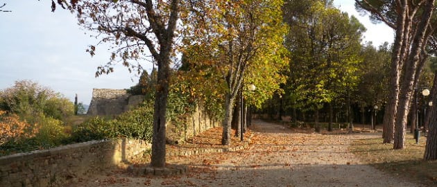 DSCN0012
