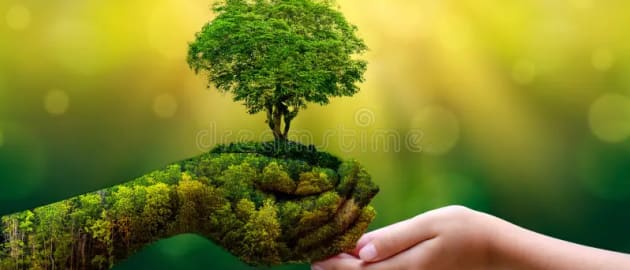 environment-earth-day-hands-trees-growing-seedlings-bokeh-green-background-female-hand-holding-tree-nature-field-gra-130247647
