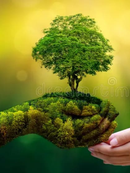 environment-earth-day-hands-trees-growing-seedlings-bokeh-green-background-female-hand-holding-tree-nature-field-gra-130247647
