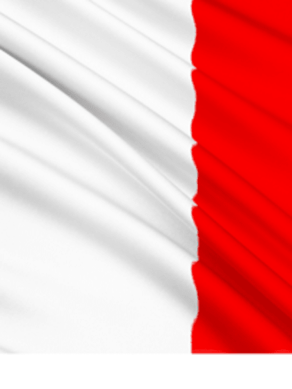 bandiera francese