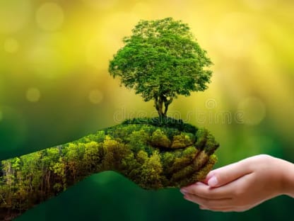 environment-earth-day-hands-trees-growing-seedlings-bokeh-green-background-female-hand-holding-tree-nature-field-gra-130247647